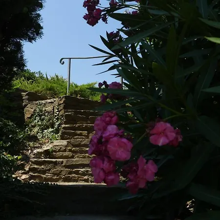 Apartment La Matisse Collioure